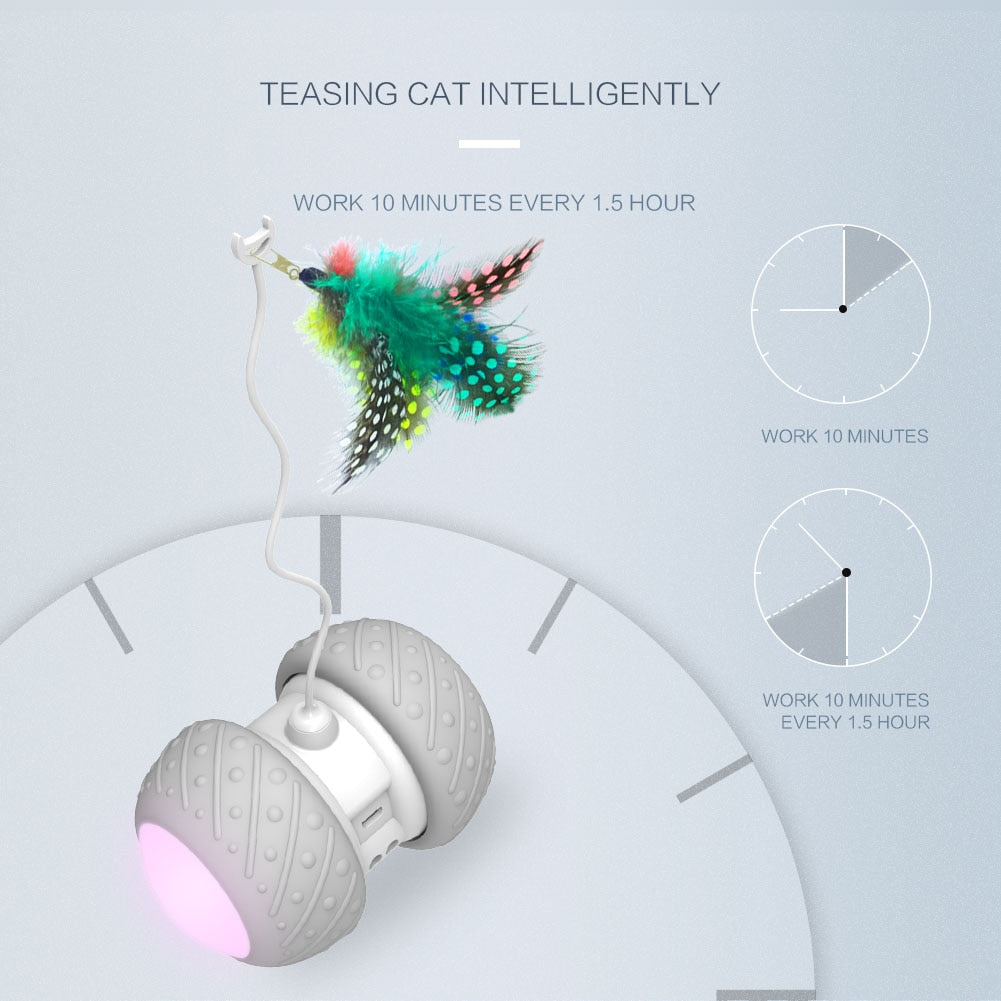 Intelligentes interaktives Katzenspielzeug