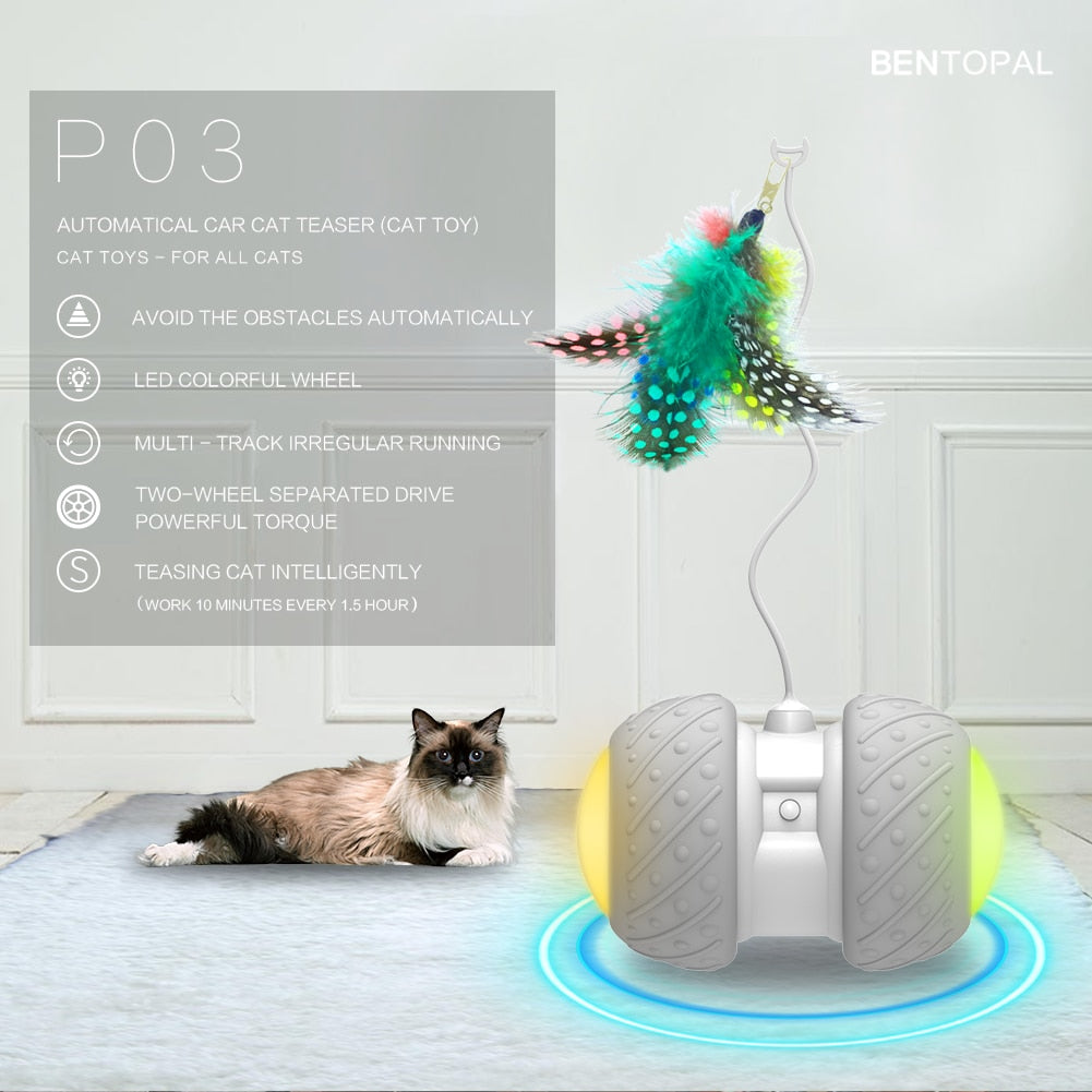 Intelligentes interaktives Katzenspielzeug
