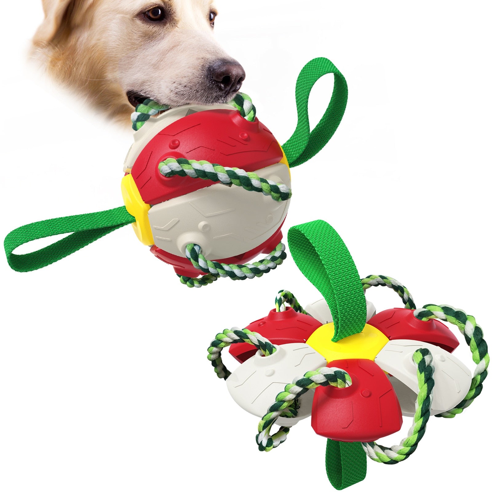 Boule magique de jouet interactif pour chien