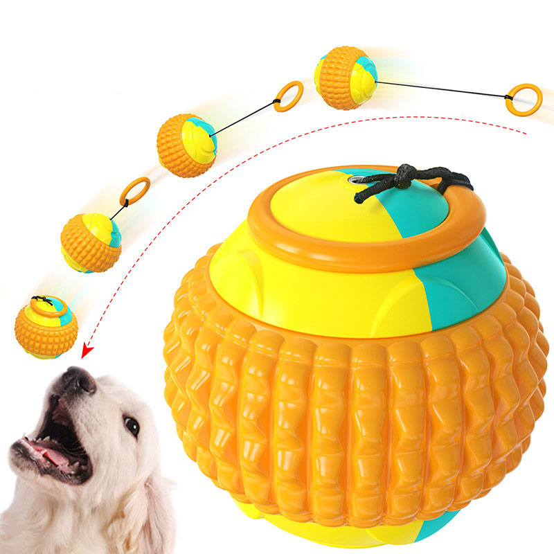 Boule magique de jouet interactif pour chien