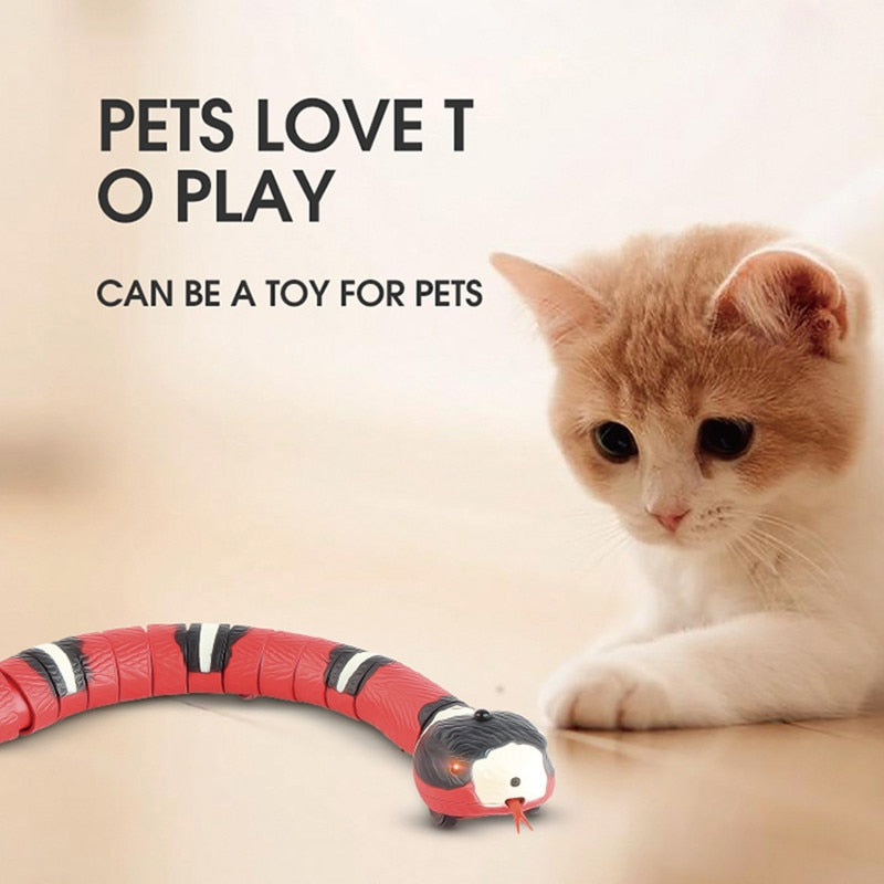 Interaktives Katzenspielzeug